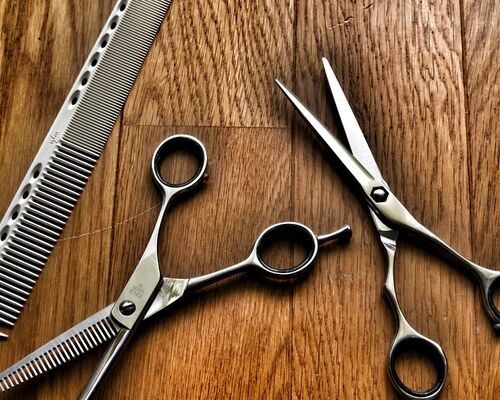 s-AdobeStock_191719439